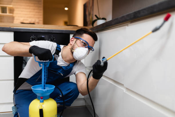 Best Best Pest Control Companies  in Campti, LA