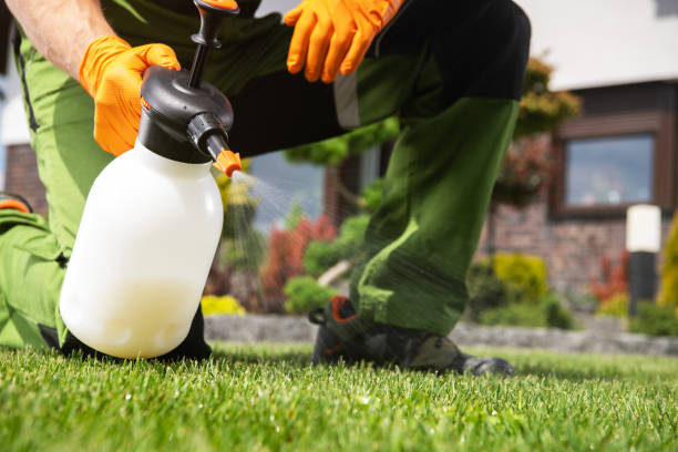 Pest Control for Restaurants in Campti, LA