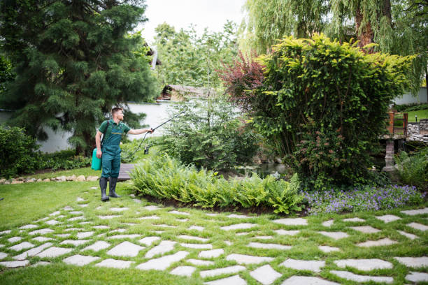 Best Wasp Removal Services  in Campti, LA