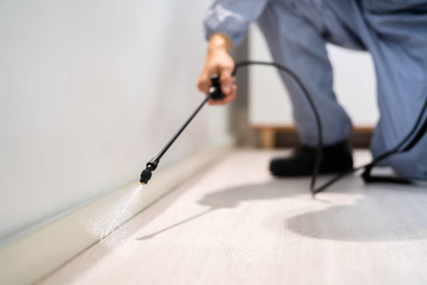 Professional Pest Control in Campti, LA