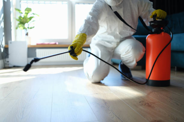 Wasp Removal Services in Campti, LA
