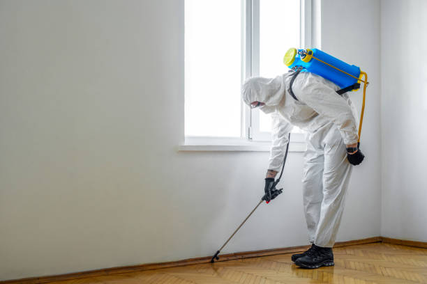 Best Pest Control for Restaurants  in Campti, LA