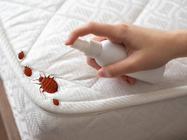Best Pest Prevention Services  in Campti, LA