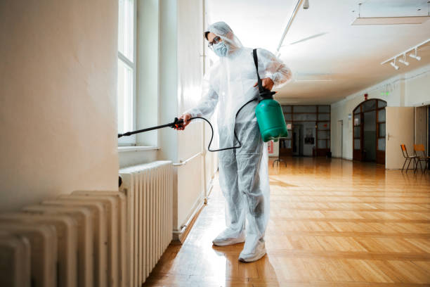 Best Rat Extermination Near Me  in Campti, LA