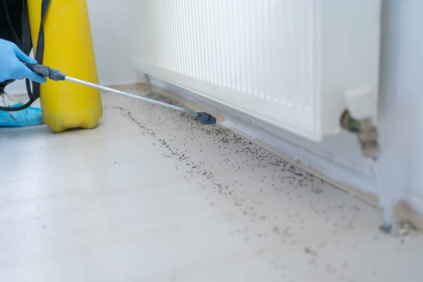 Best Residential Pest Control  in Campti, LA