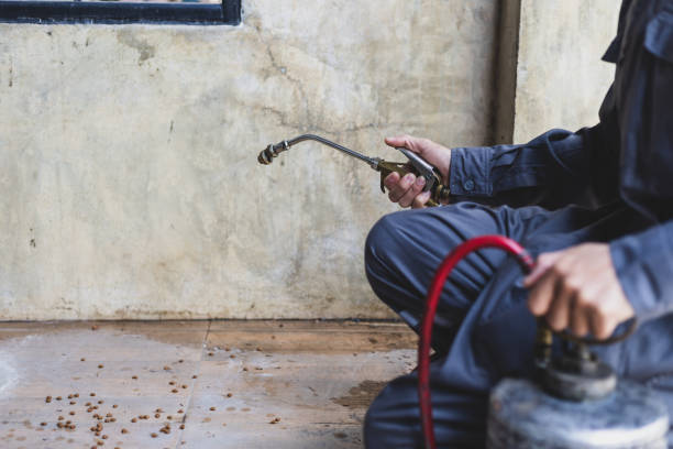 Pest Control Cost in Campti, LA